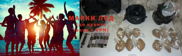 PSILOCYBIN Богданович