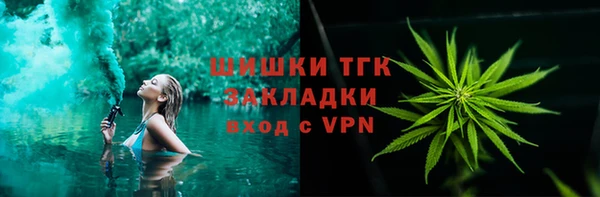 PSILOCYBIN Богданович