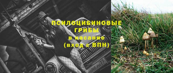MDMA Богородицк