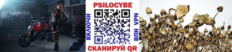 где купить наркоту  Коммунар  Галлюциногенные грибы мицелий 
